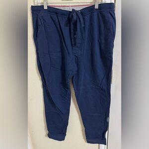 Hanes Men's Deep Blue Sleep Pants